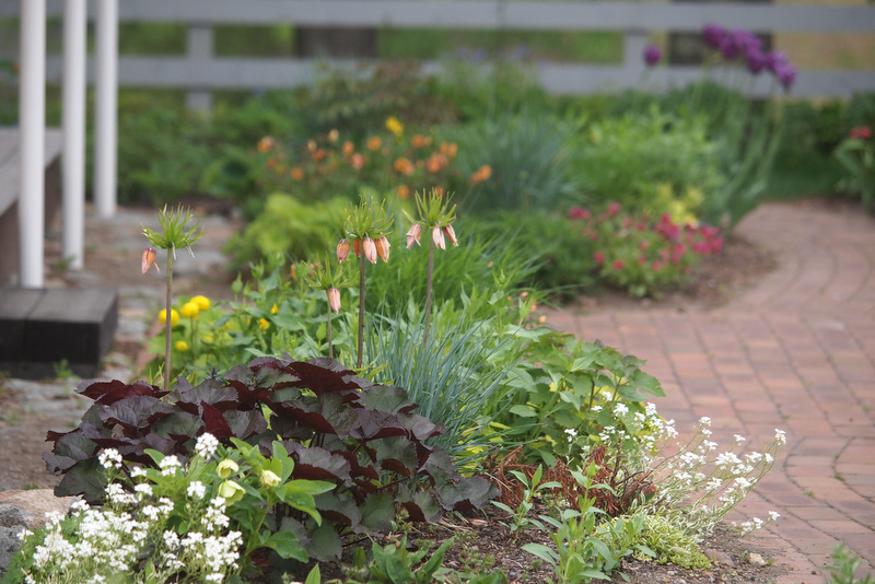 庭づくりのヒント はなふる 暮らしを恵む庭 ガーデニングの花咲かおまさ